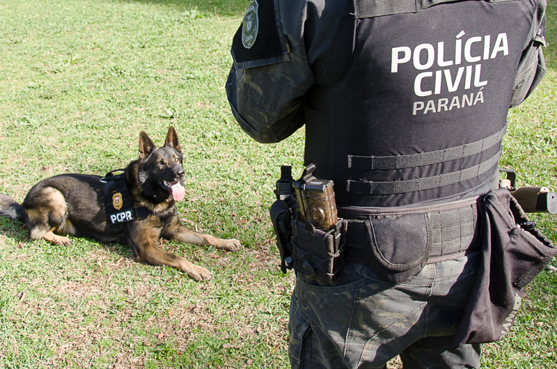 Núcleo de Operações com Cães