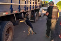 Policial civil com cão farejador procurando drogas em caminhão