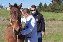 Delegado junto a veterinário examinando cavalo resgatado