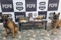 Dois cães policiais ao lado de mesa com drogas