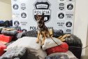 Cão da polícia sobre pacotes com droga