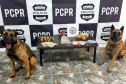 Cães PCPR
