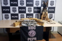 Cão policial posa para foto ao lado de tabletes de droga apreendida