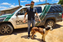 Policial civil com cachorro resgatado, ao lado de viatura