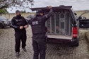 Policiais civis com presos em viatura