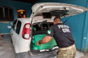 Policial civil recolhendo material do interior de veiculo