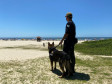 PCPR realiza fiscalização com auxílio de cães policiais na rodoviária de Matinhos