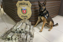 Cão policial ao lado de droga apreendida