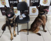 PCPR prende três pessoas em operação contra tráfico de drogas em Jaguariaíva 