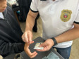 PCPR na Comunidade leva serviços de polícia judiciária para 1 mil pessoas em Palmeira 
