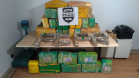 PCPR apreende mais de 620 quilos de maconha em Cascavel