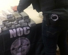 Policial civil organizando tabletes de droga apreendida