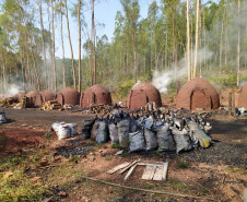 OPERAÇÃO HÓRUS - PCPR e PMPR apreendem cerca de 20 toneladas de carvão vegetal em Querência do Norte  
