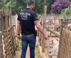 Policial civil observa local onde animais sofrem maus-tratos