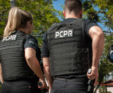 PCPR apreende 72 quilos de droga em ônibus de viagem em Cascavel