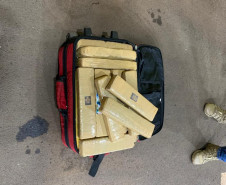 Policiais civis e cão policial apreendem drogam em bagagem