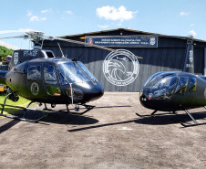 Dois helicópteros do GOA