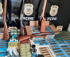 PCPR prende homem em flagrante e apreende armas de fogo em Arapoti