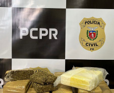 PCPR incinera mais de 10 quilos de drogas em Salto do Lontra