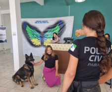 PCPR na Comunidade leva serviços de polícia judiciária para mais de 900 pessoas em Campo Largo