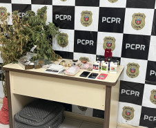 PCPR descobre estufa de maconha e recupera jóias furtadas, um homem foi preso