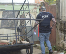 PCPR e PMPR prendem 50 pessoas em ações contra foragidos da justiça em Curitiba