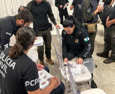 PCPR prende 17 pessoas por tráfico de drogas durante operação em Coronel Vivida