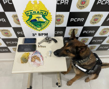 PCPR prende quatro pessoas em flagrante por tráfico de drogas em Chopinzinho