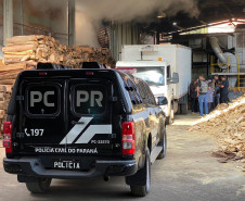 PCPR incinera 4,5 toneladas de drogas em Ponta Grossa