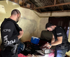 PCPR prende nove integrantes de organização criminosa ligada ao tráfico de drogas e homicídios em Ortigueira