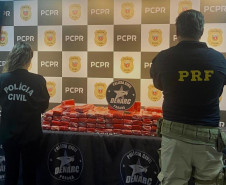 PCPR, PMPR e GM apreendem 211 quilos de maconha em São Luiz do Purunã