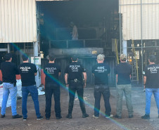 PCPR incinera 16 toneladas de drogas em uma semana em Cascavel