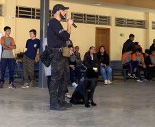 PCPR atende mais de 5,1 mil pessoas em ação de conscientização e prevenção ao uso de drogas no Paraná