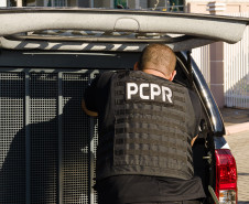 PCPR prende homem por maus-tratos e resgata cães, cavalos e mula em Irati