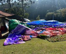 PCPR prende quatro por soltura de balões que chegavam a custar mais de R$ 20 mil