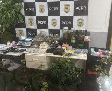 PCPR prende homem por tentativa de homicídio e fecha laboratório de drogas em Colombo