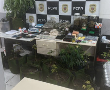 PCPR prende homem por tentativa de homicídio e fecha laboratório de drogas em Colombo