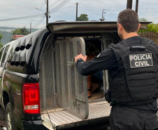 PCPR e PMPR prendem homem em flagrante por tráfico de drogas em Cascavel