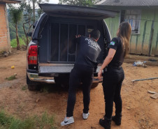 PCPR prende três pessoas por tráfico, receptação e associação criminosa nos Campos Gerais