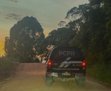 PCPR prende três pessoas por tráfico, receptação e associação criminosa nos Campos Gerais