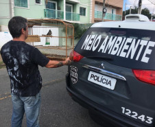 PCPR prende suspeitos de crime ambiental em Curitiba e RMC 