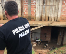 PCPR recupera cão em situação de maus-tratos no Pilarzinho