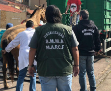 PCPR prende homem por maltratar cavalo em Curitiba