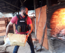 Polícia Civil incinera 680 quilos de maconha em São Mateus do Sul