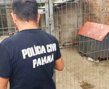 PCPR fecha canil clandestino e resgata animais em situação de maus-tratos na RMC