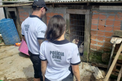 Dois policiais civis observam cães presos em situação de maus-tratos