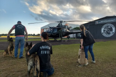 Policiais civis e cães policiais em treinamento com aeronave 