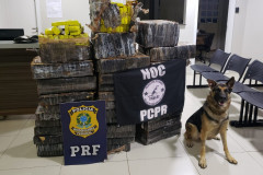 Diversos tabletes de droga apreendida, sobre uma mesa. Em frente, cão farejador e banner da Polícia Civil e PRF