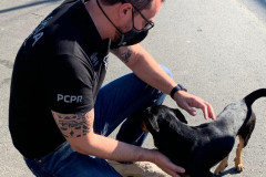 Policial civil com cão resgatado