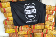Diversos pacotes de droga empilhados, com um brasao da policia civil por cima